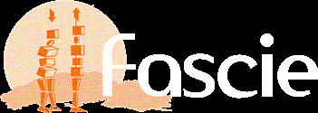 logo masazecheb.cz